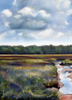 Cloudy Creek